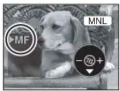 MF MNL -72+