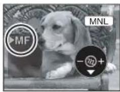 MF MNL -2½+
