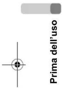 Prima dell'uso