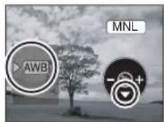 AWB MNL