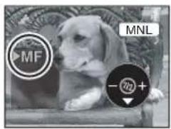 MF MNL -72+