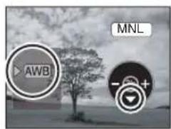 AWB MNL