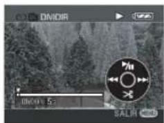 DIVIDIR 10:00:52 SALR