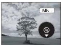 MNL 723