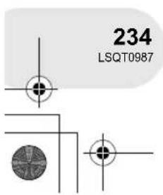 234 LSQT0987