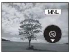 MNL 723
