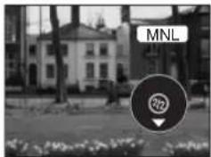 MNL 723
