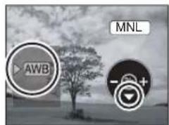 AWB MNL