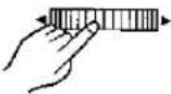 PANASONIC NV-MX1 - Scene Index Signal - 99
