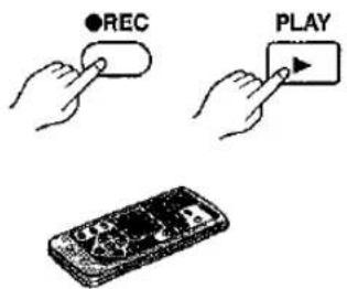 ●REC PLAY