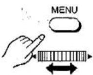 PANASONIC NV-MX1 - Swing Mode - 43