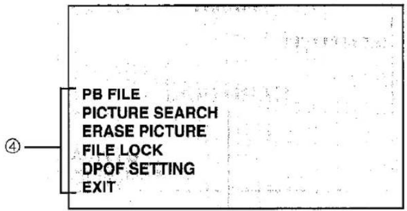 PB FILE PICTURE SEARCH ERASE PICTURE FILE LOCK DPOF SETTING EXIT