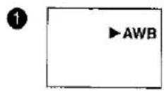 PANASONIC NV-MX1 - Scene Index Signal - 81