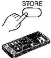 PANASONIC NV-MX1 - Swing Mode - 29
