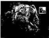 PANASONIC NV-MX1 - Causes of Dirty Video Heads - 4