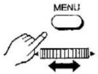 PANASONIC NV-MX1 - Swing Mode - 46