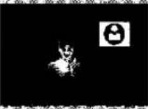 PANASONIC NV-MX1 - Scene Index Signal - 11