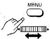 PANASONIC NV-MX1 - Using the Zoom Microphone Function - 10