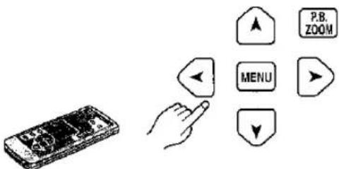 PANASONIC NV-MX1 - Swing Mode - 39