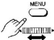 PANASONIC NV-MX1 - Range of Iris Adjustment - 8