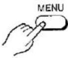 PANASONIC NV-MX1 - Swing Mode - 21