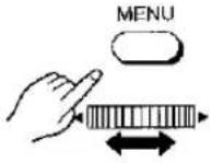 PANASONIC NV-MX1 - Using the Zoom Microphone Function - 4