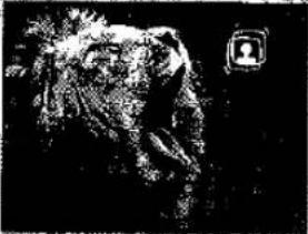 PANASONIC NV-MX1 - When [PROGRESSIVE] Is Set to [AUTO]: - 6