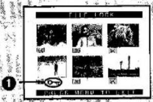 PANASONIC NV-MX1 - Erasing Titles - 8