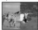 PANASONIC NV-GS400GD - 디지털 효과 1 [EFFECT1] - 3
