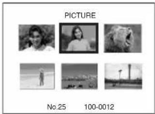 PICTURE No.25 100-0012