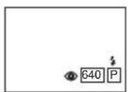 PANASONIC NV-GS400GD - 적목 감소 기능 - 2
