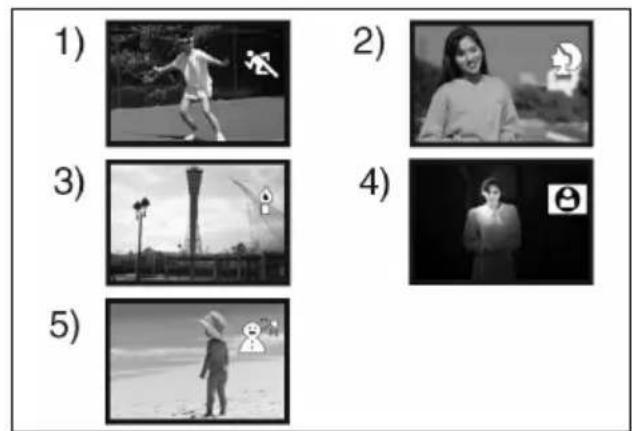 1) 2) 3) 4) 5)