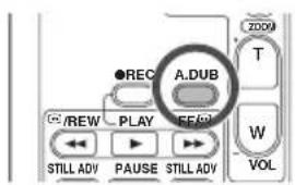 A.DUB ●REC T ZOOM T REW PLAY SEE/W W STILL ADV PAUSE STILL ADV VOL