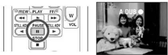 /REW PLAY FF/W W VOL STILL ADV PAUSE STILL ADV STOP A.DUB ●