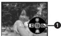 PANASONIC NV-GS250GC - 長焦微距功能 - 2