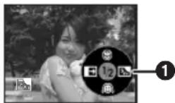 PANASONIC NV-GS250GC - Backlight compensation function - 2