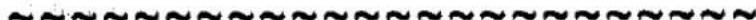 PANASONIC NV-MX2 - Wind Noise Reduction Function - 1