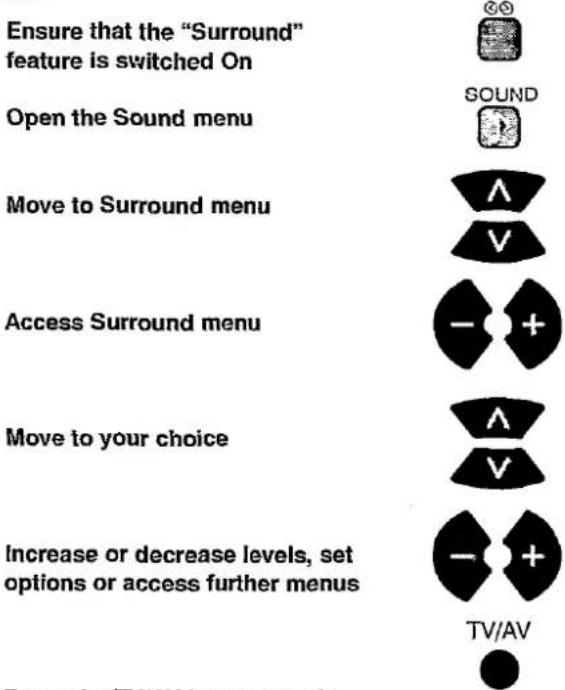 PANASONIC TX-W28R4DP - SURROUND MENU - 1
