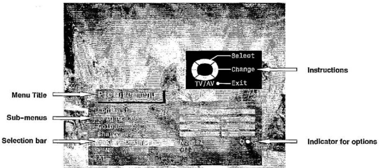 PANASONIC TX-W28R4DP - USING THE ON SCREEN DISPLAYS - 1