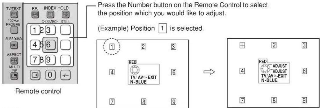 PANASONIC TX-47P800H - Convergence 2 Adjustment for RED and BLUE - 3