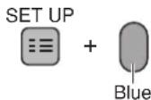 PANASONIC TX-47P800H - Sub Coded Page Access - 2