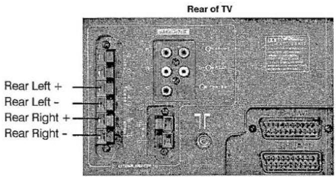 PANASONIC TX-28LD4DP - Connect the speakers - 5