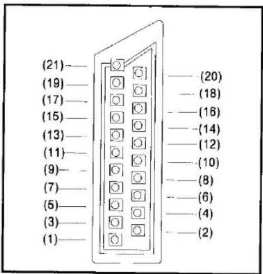 PANASONIC TX-21T1 - Pin Terminal Explanation - 1