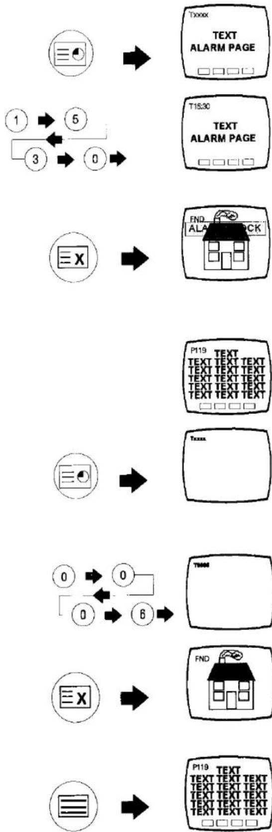 PANASONIC TX-21T1 - Sub-coded page access. (Time Text button) - 1