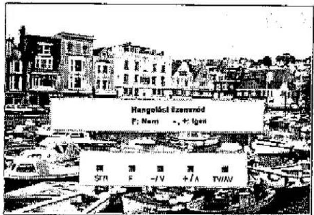 PANASONIC TX-W32D2F - Kezi hangolás (az elolap kezelőszervevel) - 5