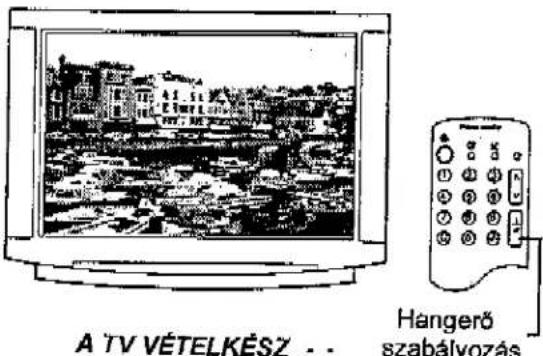 PANASONIC TX-W32D2F - BIZTONSÁGI FIGYELMEZTETÉSEK ÉS ÓVINTÉZKEDÉSEK - 11