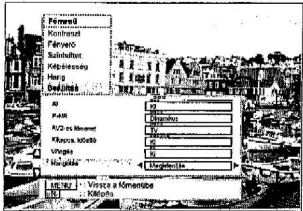 PANASONIC TX-W32D2F - A programhely veteli normajanak megvaltoztalása - 10
