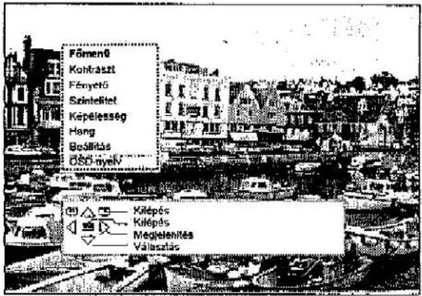 PANASONIC TX-W32D2F - Kezi hangolás (az elolap kezelőszervevel) - 10