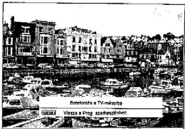 PANASONIC TX-W32D2F - A TV-program athelyezése más programhelyre - 14