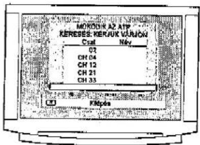 PANASONIC TX-W32D2F - BIZTONSÁGI FIGYELMEZTETÉSEK ÉS ÓVINTÉZKEDÉSEK - 9